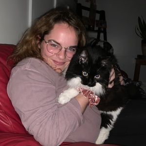 Meet your Posher, Bailey